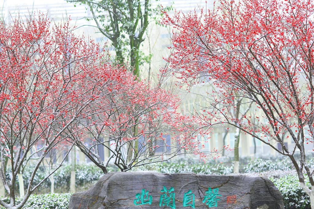 旺旺娱乐app官方网站