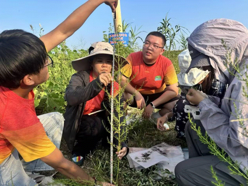 开展为期8天的暑期社会实践活动