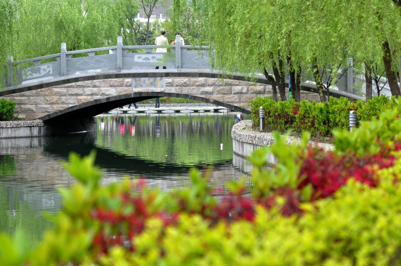 银杏路