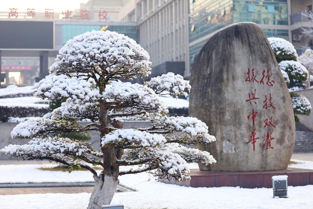 银杏路