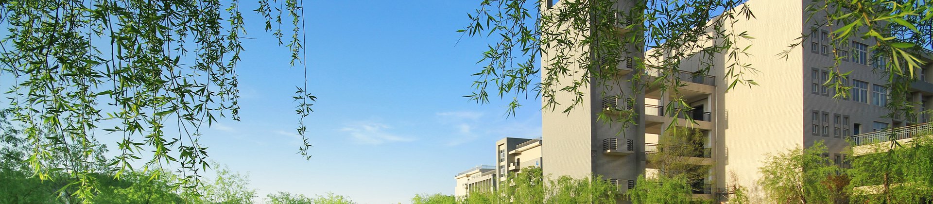 汽车运用技术专业汽车维修教学团队