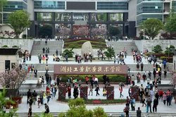 旺旺娱乐官网