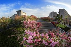 0719-8126089 邮编