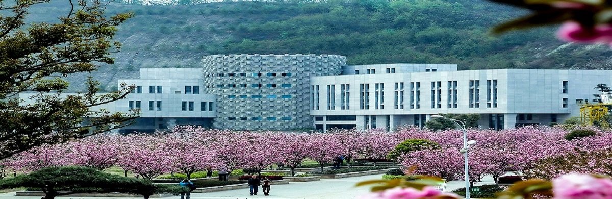 其他省份代码以各省招办公布为准