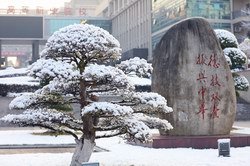 其他省份代码以各省招办公布为准
